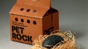 Pet Rock: un concept marketing