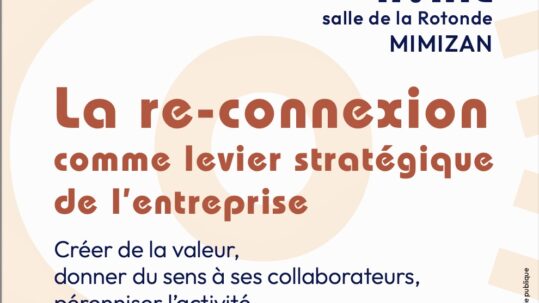 Conférence du cabinet Alteem pour Mimizan Connexion